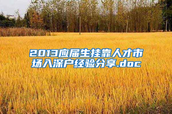 2013应届生挂靠人才市场入深户经验分享.doc