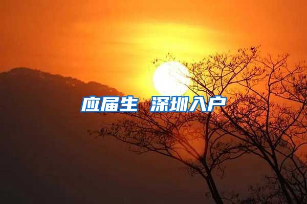 应届生 深圳入户