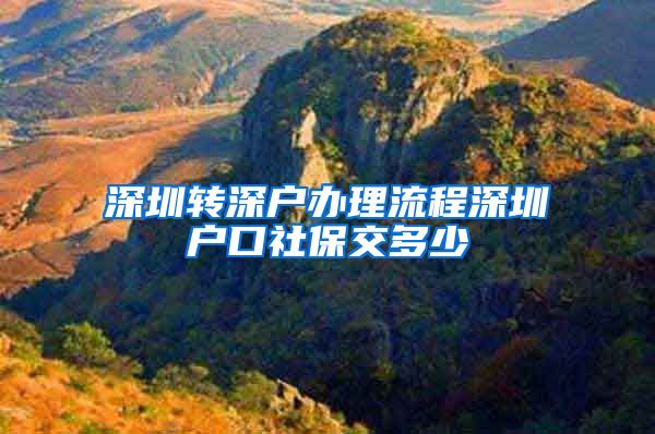 深圳转深户办理流程深圳户口社保交多少