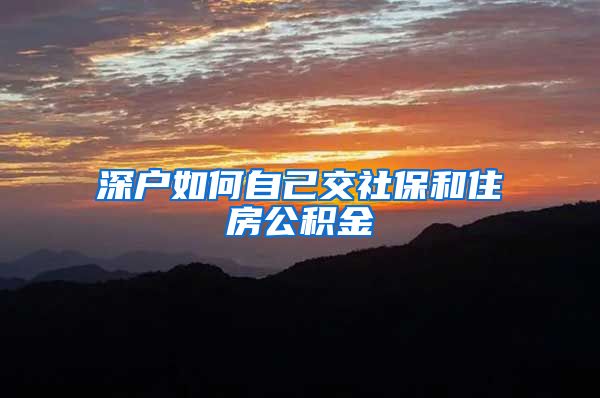深户如何自己交社保和住房公积金