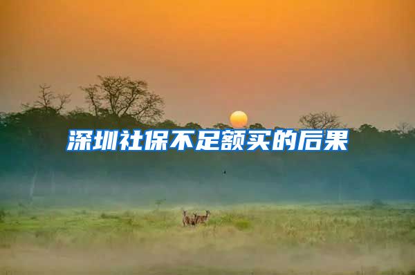 深圳社保不足额买的后果