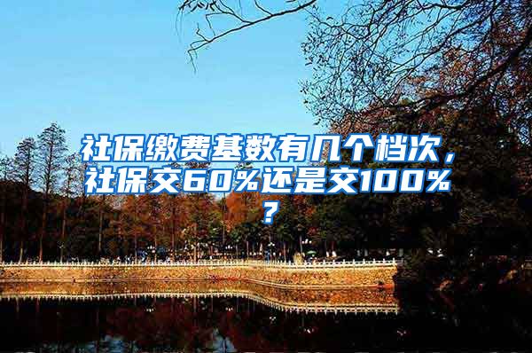 社保缴费基数有几个档次，社保交60%还是交100%？