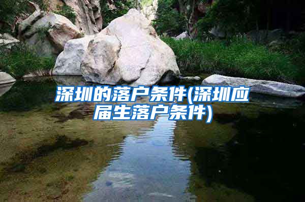 深圳的落户条件(深圳应届生落户条件)
