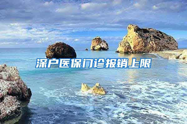 深户医保门诊报销上限