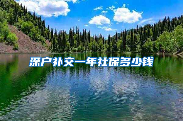 深户补交一年社保多少钱