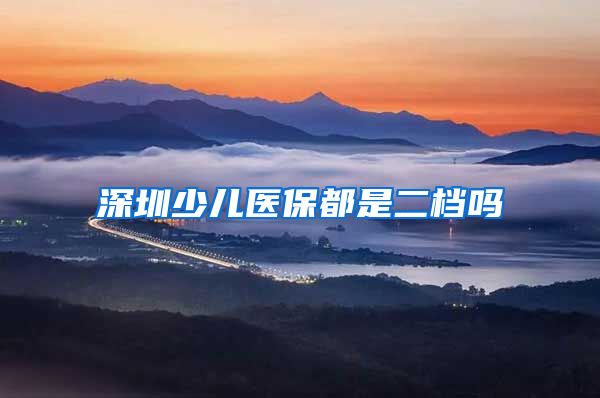 深圳少儿医保都是二档吗