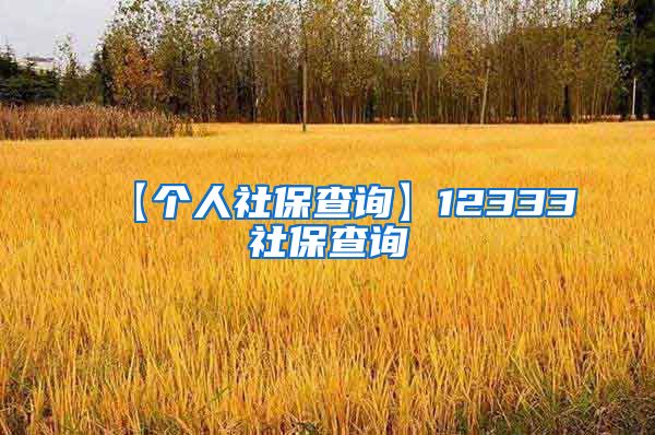 【个人社保查询】12333社保查询