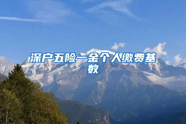 深户五险一金个人缴费基数