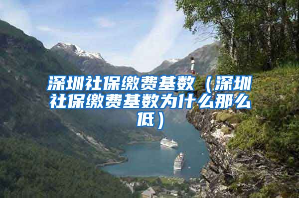 深圳社保缴费基数（深圳社保缴费基数为什么那么低）