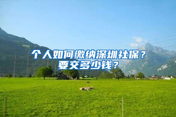 个人如何缴纳深圳社保？要交多少钱？