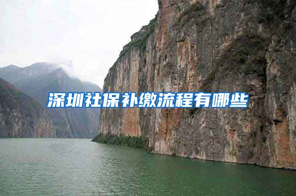 深圳社保补缴流程有哪些