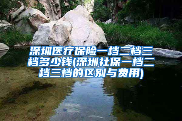 深圳医疗保险一档二档三档多少钱(深圳社保一档二档三档的区别与费用)