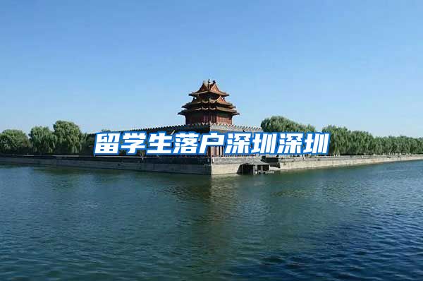 留学生落户深圳深圳