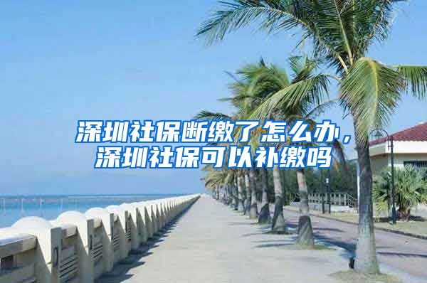 深圳社保断缴了怎么办，深圳社保可以补缴吗