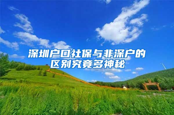 深圳户口社保与非深户的区别究竟多神秘