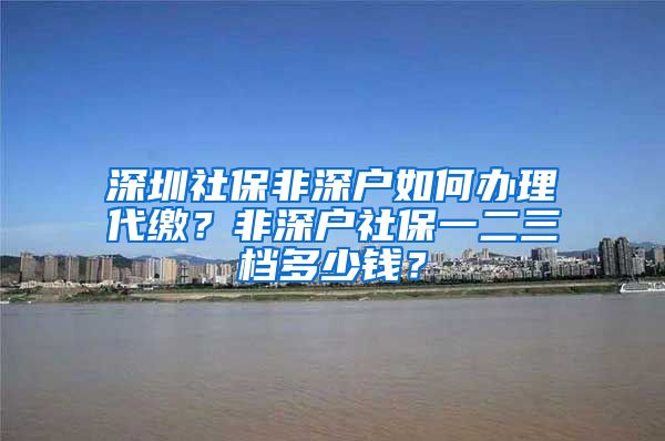深圳社保非深户如何办理代缴？非深户社保一二三档多少钱？