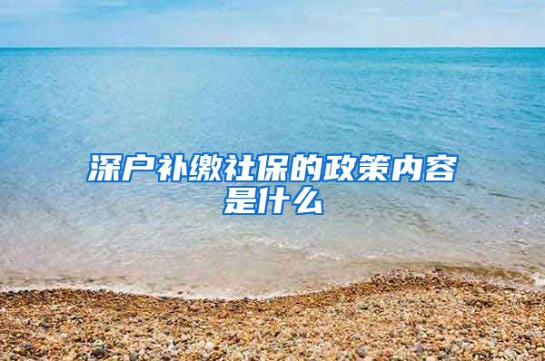 深户补缴社保的政策内容是什么