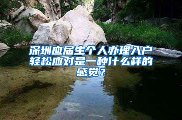 深圳应届生个人办理入户轻松应对是一种什么样的感觉？