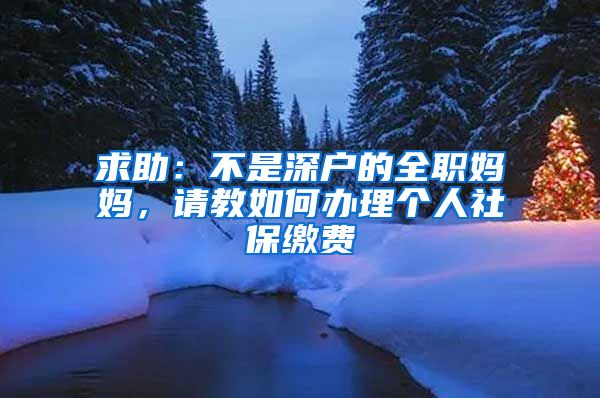 求助：不是深户的全职妈妈，请教如何办理个人社保缴费