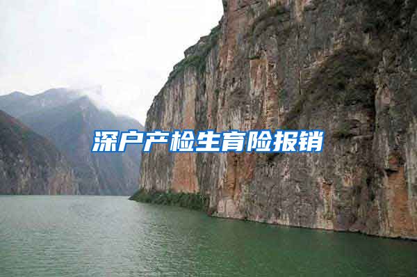 深户产检生育险报销