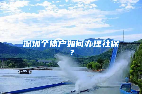 深圳个体户如何办理社保？