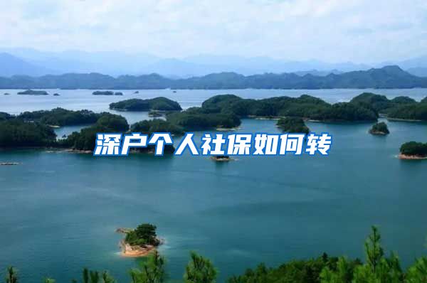 深户个人社保如何转