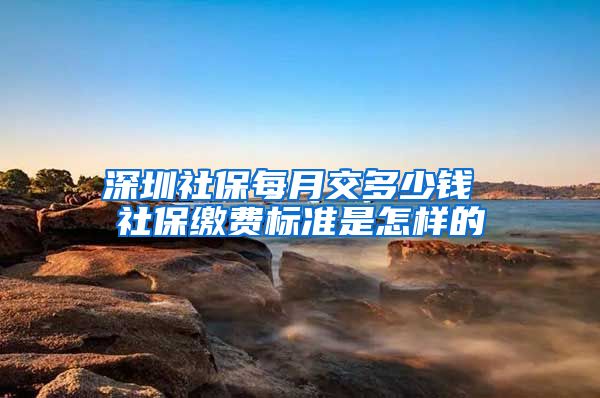 深圳社保每月交多少钱 社保缴费标准是怎样的