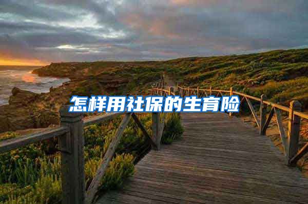 怎样用社保的生育险