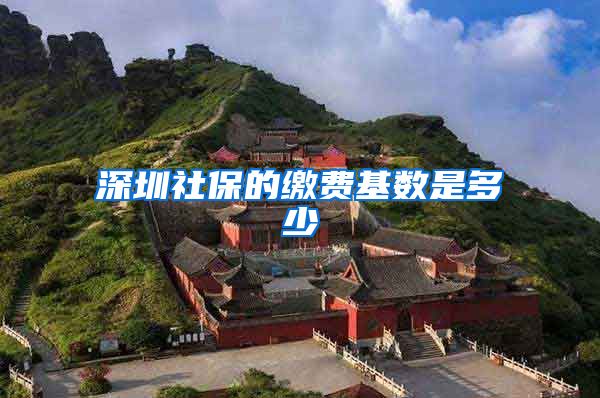 深圳社保的缴费基数是多少