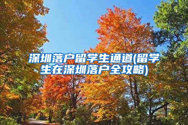 深圳落户留学生通道(留学生在深圳落户全攻略)