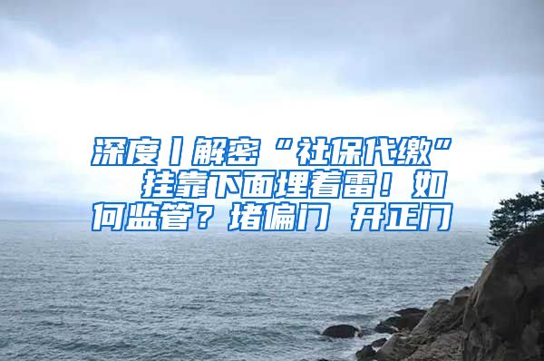 深度丨解密“社保代缴”  挂靠下面埋着雷！如何监管？堵偏门 开正门