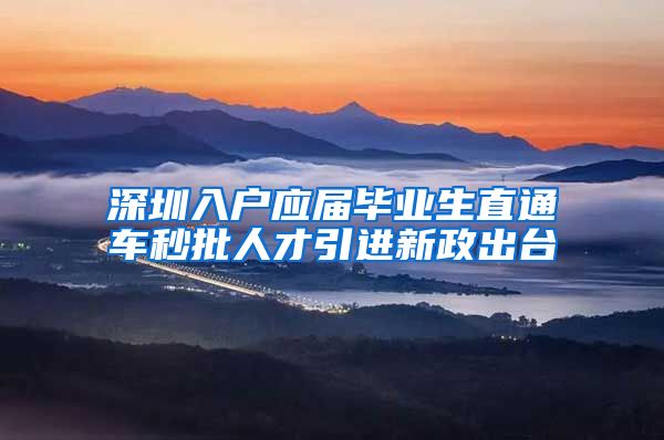 深圳入户应届毕业生直通车秒批人才引进新政出台