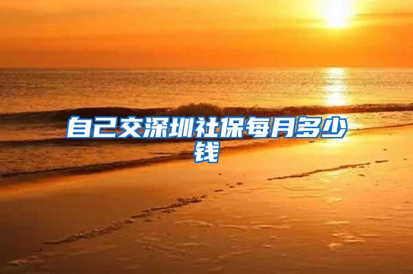自己交深圳社保每月多少钱