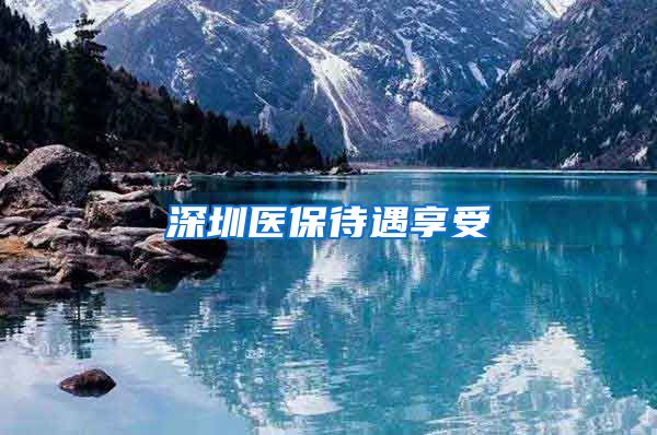 深圳医保待遇享受