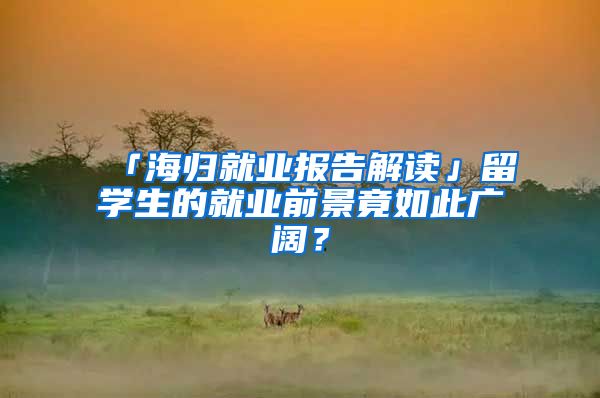 「海归就业报告解读」留学生的就业前景竟如此广阔？