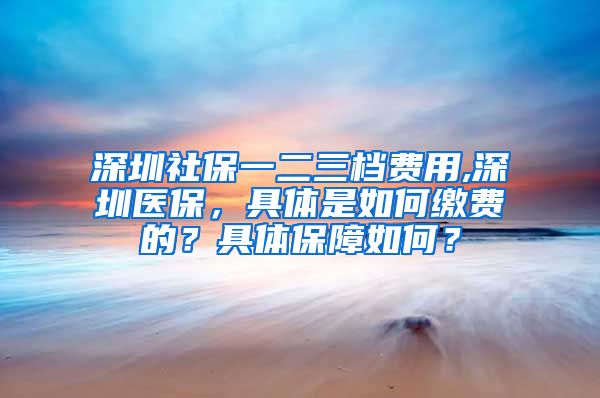 深圳社保一二三档费用,深圳医保，具体是如何缴费的？具体保障如何？