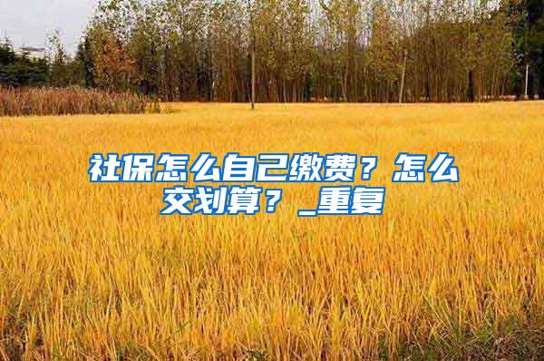 社保怎么自己缴费？怎么交划算？_重复