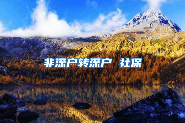 非深户转深户 社保