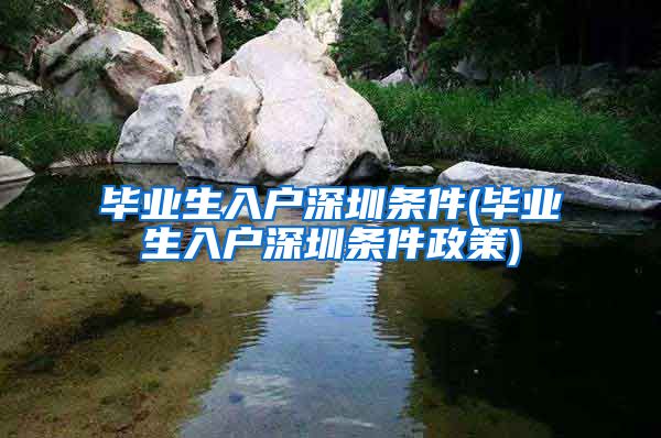 毕业生入户深圳条件(毕业生入户深圳条件政策)