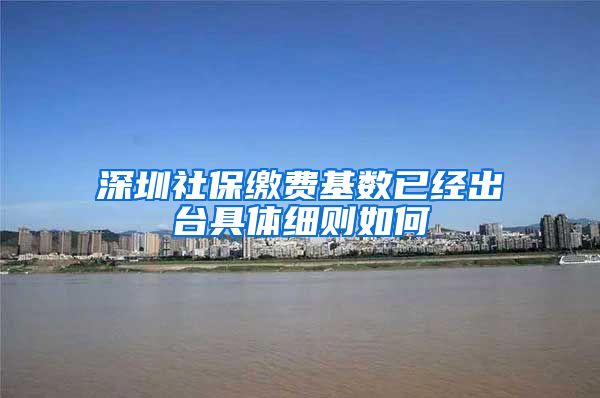 深圳社保缴费基数已经出台具体细则如何