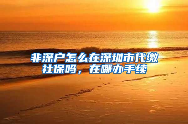 非深户怎么在深圳市代缴社保吗，在哪办手续