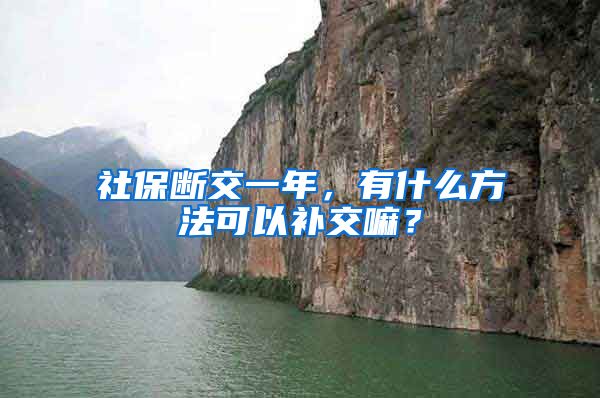 社保断交一年，有什么方法可以补交嘛？