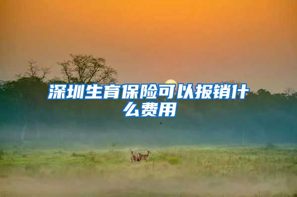 深圳生育保险可以报销什么费用