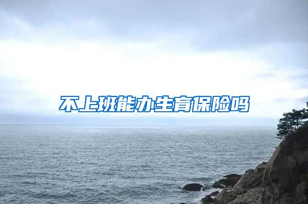 不上班能办生育保险吗
