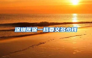 深圳医保一档要交多少钱