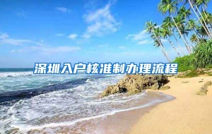 深圳入户核准制办理流程