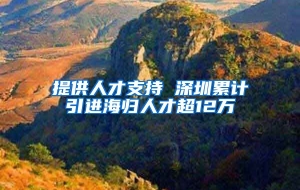提供人才支持 深圳累计引进海归人才超12万