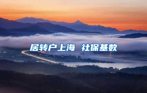 居转户上海 社保基数