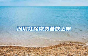 深圳社保缴费基数上限