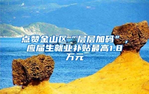 点赞金山区“层层加码”，应届生就业补贴最高1.8万元